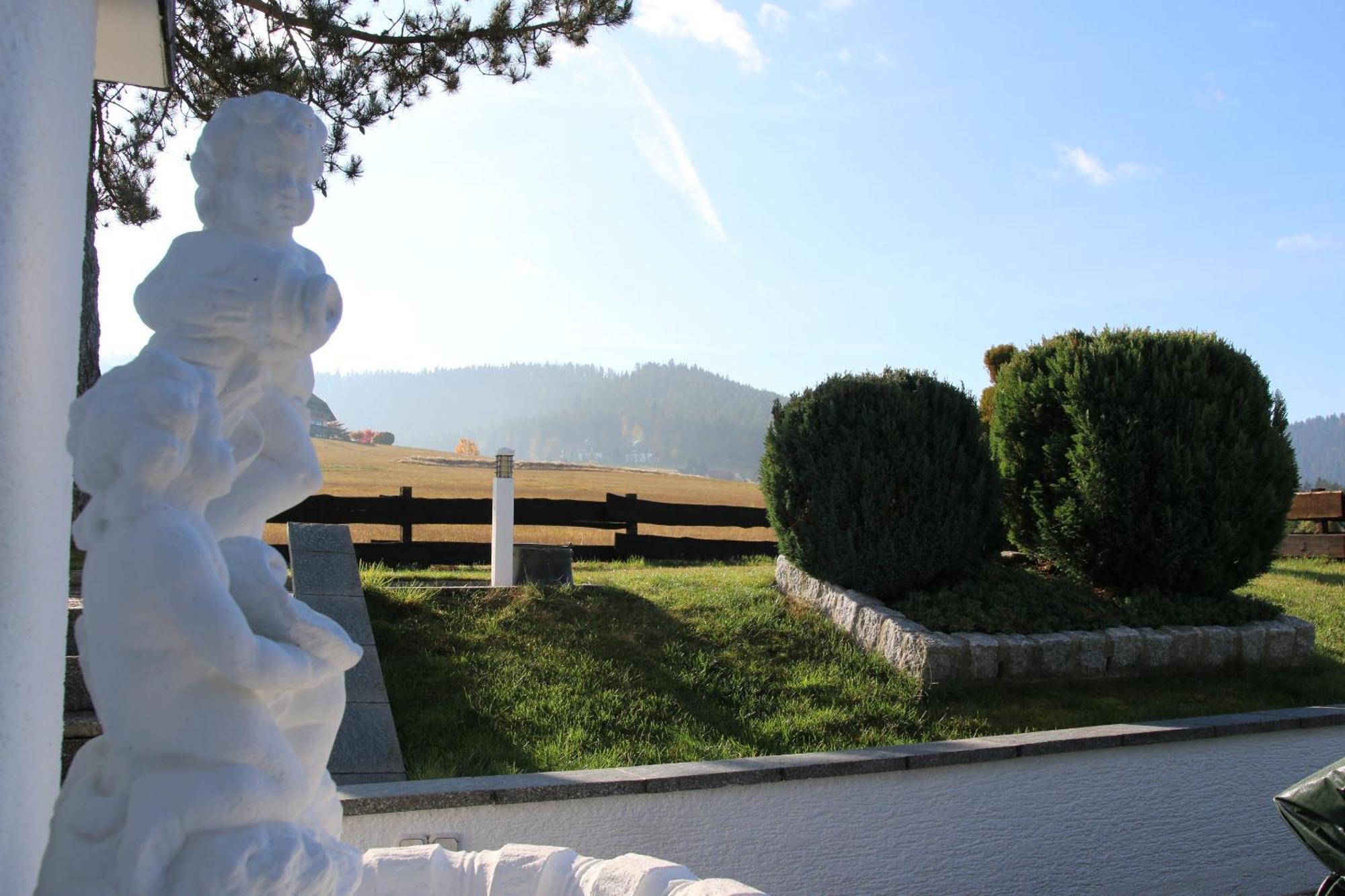 Luxus-Landhaus Im Schwarzwald/Baiersbronn Mit Pool 외부 사진