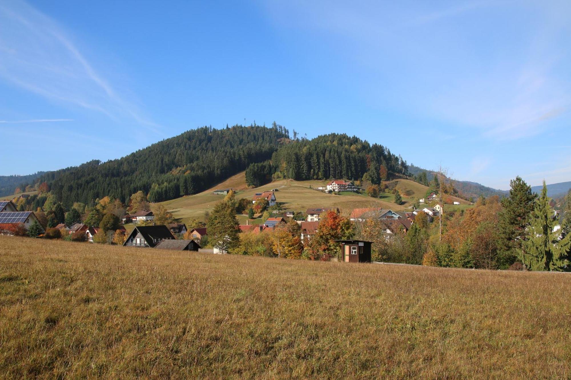 Luxus-Landhaus Im Schwarzwald/Baiersbronn Mit Pool 외부 사진